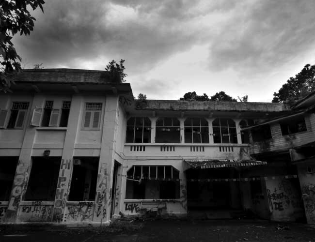 Borrador automático