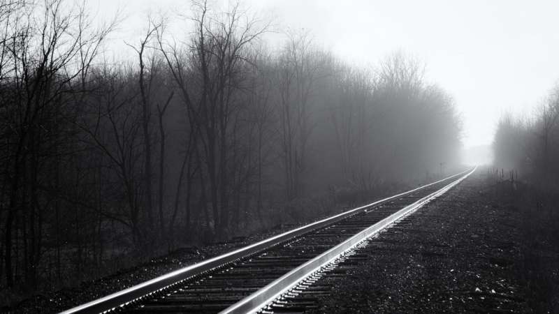 Borrador automático