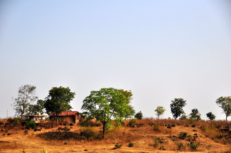 Borrador automático