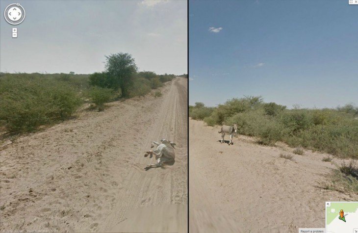 Google Street View - Colección de fotos extrañas (I) Google Street View - Colección de fotos extrañas (I)