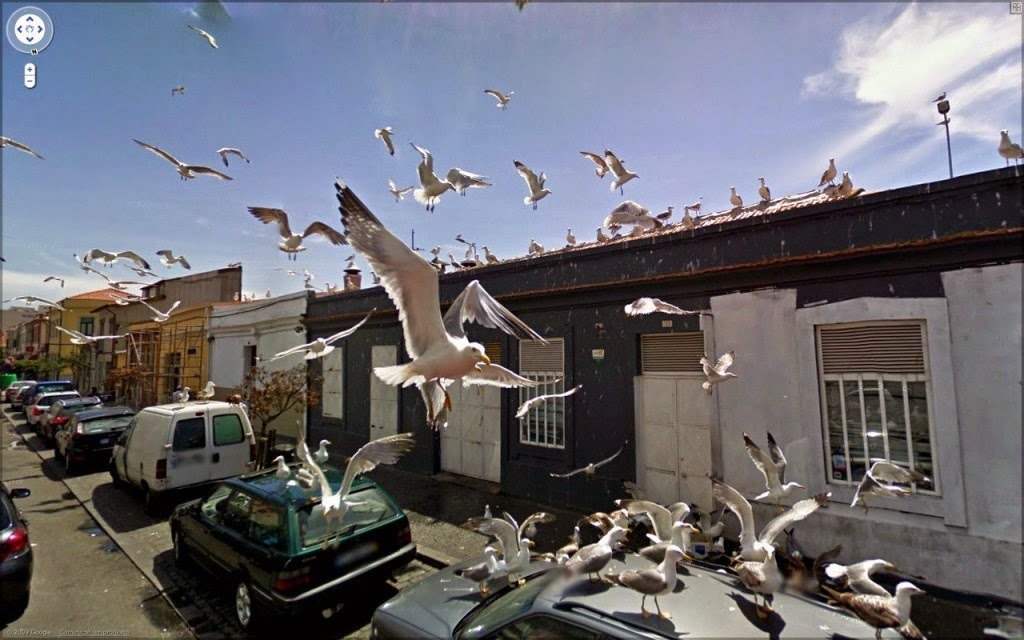 Google Street View - Colección de fotos extrañas (I)