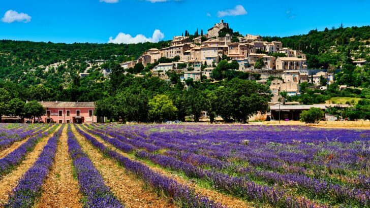 Campo de lavanda en Grasse, Francia, con un pueblo al fondo bajo un cielo azul