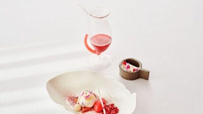 Postre gourmet con salsa roja servido en un plato blanco elegante