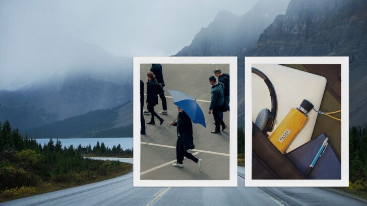 Grupo de personas caminando bajo la lluvia con sombrillas en una ciudad